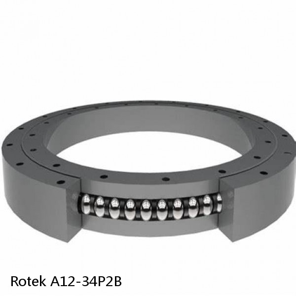 A12-34P2B Rotek Slewing Ring Bearings
