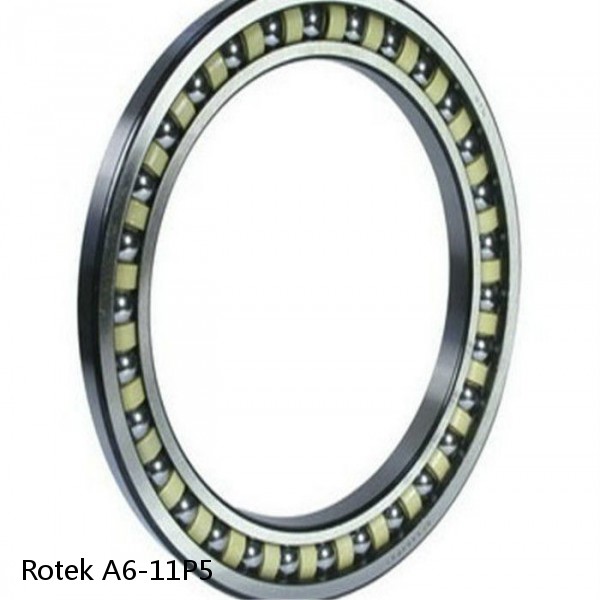 A6-11P5 Rotek Slewing Ring Bearings