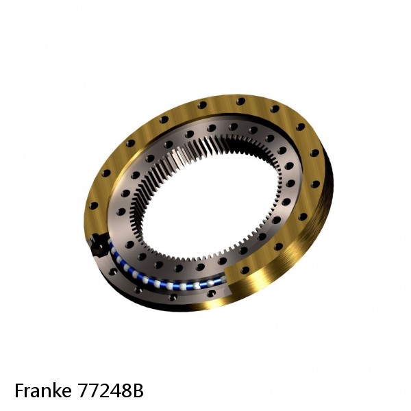 77248B Franke Slewing Ring Bearings