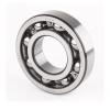 1.181 Inch | 30 Millimeter x 2.441 Inch | 62 Millimeter x 0.63 Inch | 16 Millimeter  CONSOLIDATED BEARING NU-206 C/4  Cylindrical Roller Bearings #2 small image