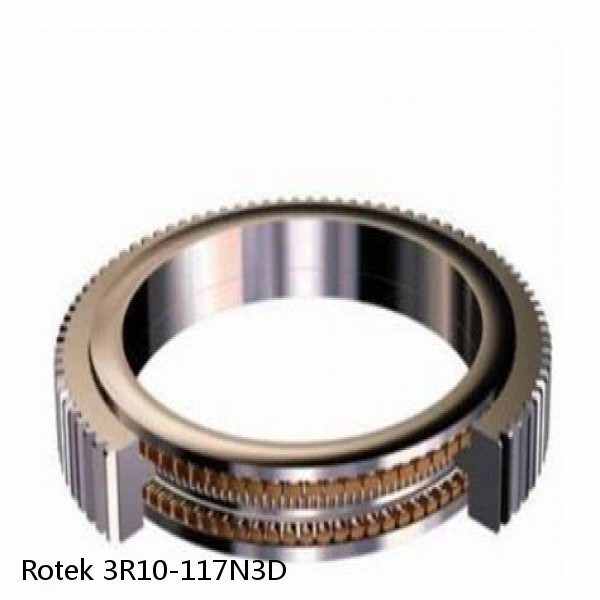 3R10-117N3D Rotek Slewing Ring Bearings #1 small image