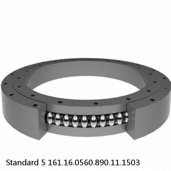 161.16.0560.890.11.1503 Standard 5 Slewing Ring Bearings #1 small image