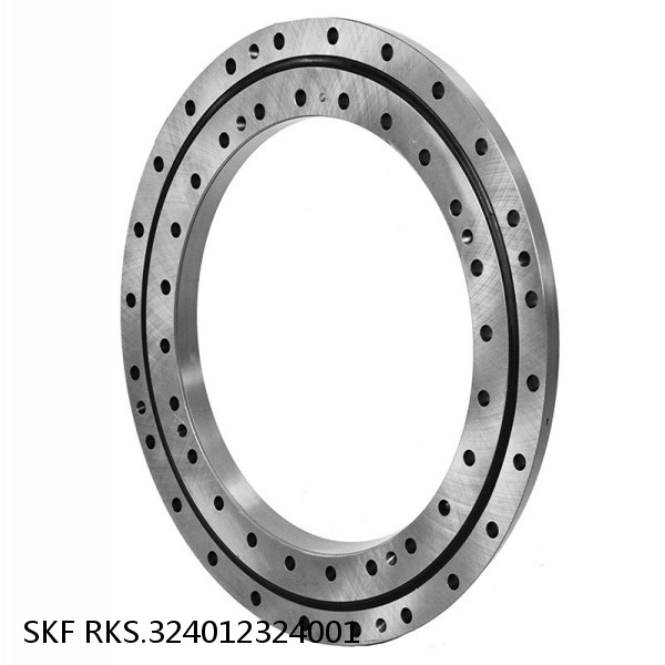RKS.324012324001 SKF Slewing Ring Bearings #1 small image