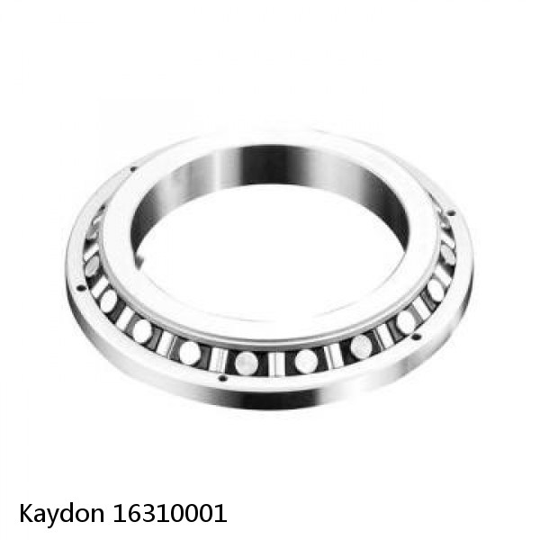 16310001 Kaydon Slewing Ring Bearings #1 small image