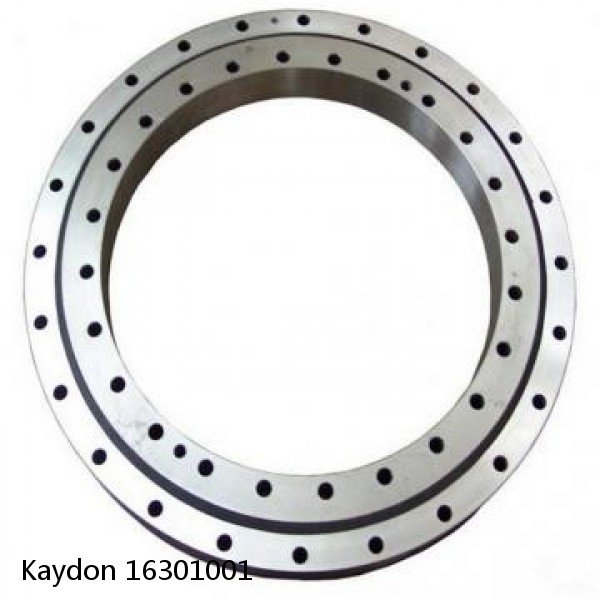 16301001 Kaydon Slewing Ring Bearings #1 small image