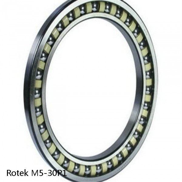 M5-30P1 Rotek Slewing Ring Bearings #1 image