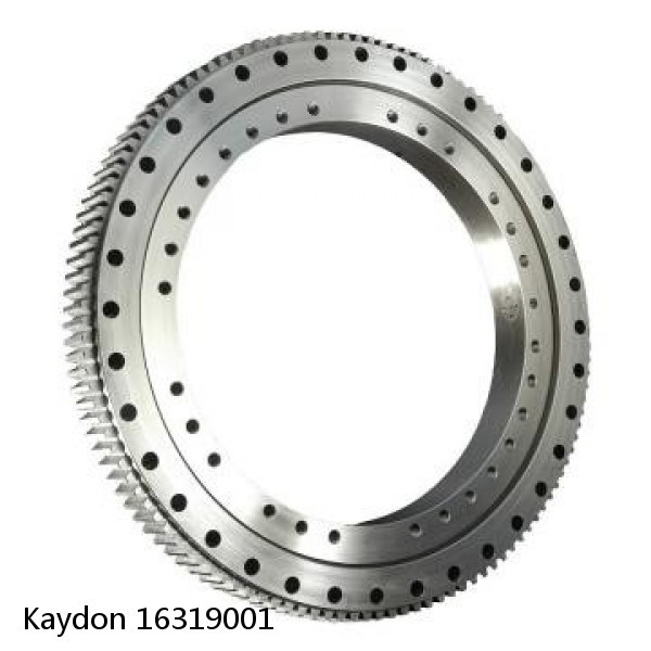 16319001 Kaydon Slewing Ring Bearings #1 image