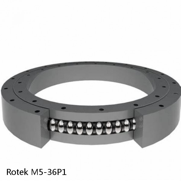 M5-36P1 Rotek Slewing Ring Bearings #1 image