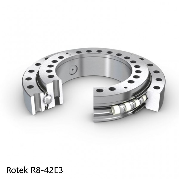 R8-42E3 Rotek Slewing Ring Bearings #1 image