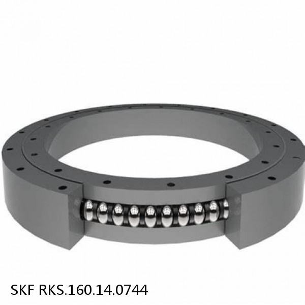 RKS.160.14.0744 SKF Slewing Ring Bearings #1 image