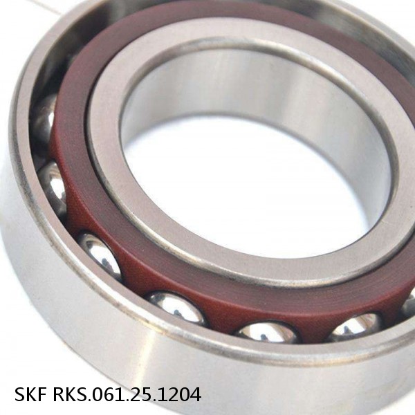 RKS.061.25.1204 SKF Slewing Ring Bearings #1 image