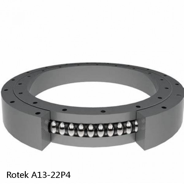 A13-22P4 Rotek Slewing Ring Bearings #1 image