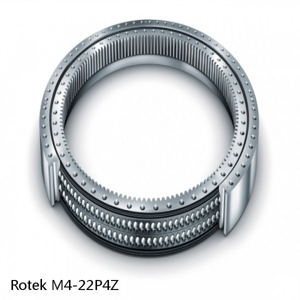 M4-22P4Z Rotek Slewing Ring Bearings #1 image