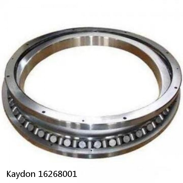 16268001 Kaydon Slewing Ring Bearings #1 image