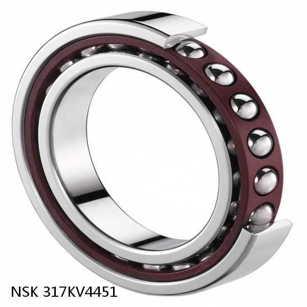 317KV4451 NSK Four-Row Tapered Roller Bearing #1 image