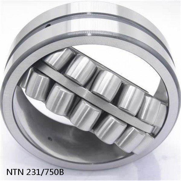 231/750B NTN Spherical Roller Bearings #1 image