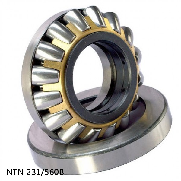 231/560B NTN Spherical Roller Bearings #1 image